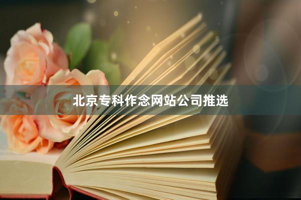 北京专科作念网站公司推选
